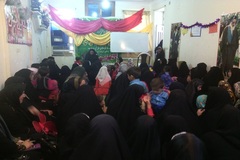 ولادت امام رضا(ع)