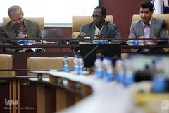 رویکرد کلی‌گرایانه و سیستمی در مطالعات میان‌رشته‌ای قرآن کریم