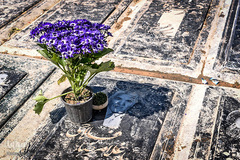 زیارت اهل قبور در آخرین پنجشنبه سال 