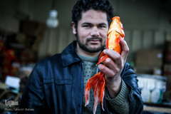 ماهی، مهمان سفره عید ایرانی‌ها