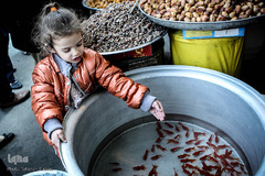 ماهی، مهمان سفره عید ایرانی‌ها