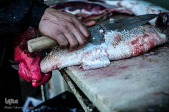 ماهی، مهمان سفره عید ایرانی‌ها