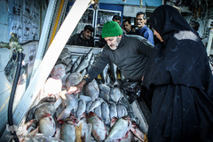 ماهی، مهمان سفره عید ایرانی‌ها