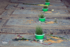 آغاز سال جدید در جوار شهدا
