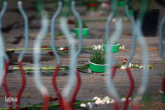 آغاز سال جدید در جوار شهدا
