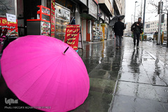 باران بهاری