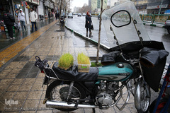 باران بهاری