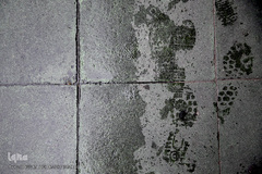 باران بهاری