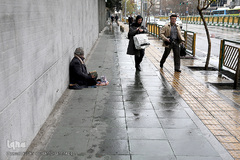 باران بهاری