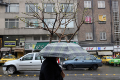 باران بهاری