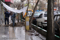 باران بهاری