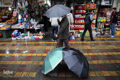 باران بهاری