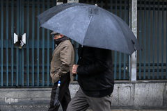 باران بهاری