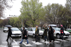 باران بهاری