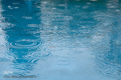 باران بهاری