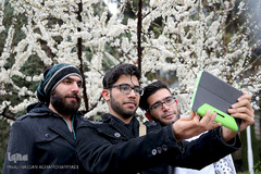 باران بهاری