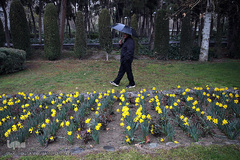 باران بهاری