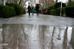 باران بهاری