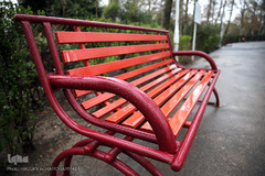 باران بهاری