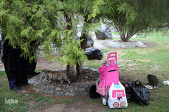 باران بهاری