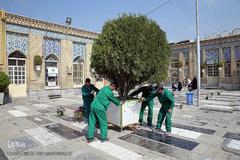 آستان مقدس سید الکریم، حضرت عبدالعظیم حسنی (ع) در نوروز