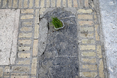 آستان مقدس سید الکریم، حضرت عبدالعظیم حسنی (ع) در نوروز