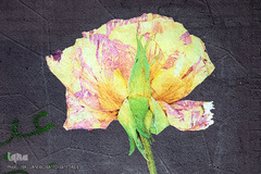 هنرهای محیطی نوروز ۹۶ در تهران