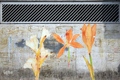 هنرهای محیطی نوروز ۹۶ در تهران