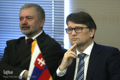 مارک مدریک، وزیر فرهنگ جمهوری اسلواکی 