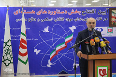 علی‌اکبر صالحی، رییس سازمان انرژی اتمی