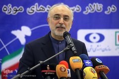 علی‌اکبر صالحی، رییس سازمان انرژی اتمی