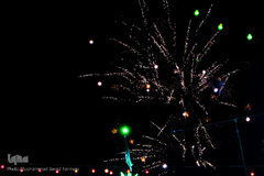 آذین بندی معابر به مناسبت نیمه شعبان- تهران
