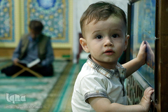 جلسه قرآن حبیب صداقت