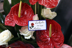 مراسم بزرگداشت «روز خبرنگار» در ایکنا