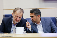 نشست مجمع مشورتی شورای توسعه