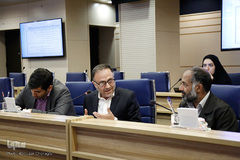 نشست مجمع مشورتی شورای توسعه