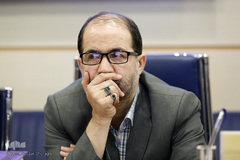 محمدحسین فریدونی، نشست مجمع مشورتی شورای توسعه