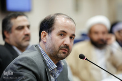 محمدحسین فریدونی، نشست مجمع مشورتی شورای توسعه