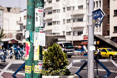چسباندن غیر مجاز پوسترهای تبلیغاتی بر روی تیرهای چراغ برق