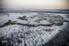 خشکسالی در بندر شرفخانه 