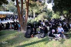 دعای عرفه در بهشت زهرا (س) تهران