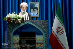 آیت الله محمد امامی کاشانی، عضو مجلس خبرگان رهبری