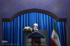 آیت الله محمد امامی کاشانی، عضو مجلس خبرگان رهبری