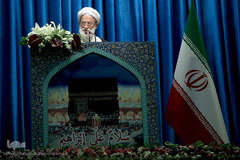 آیت الله محمد امامی کاشانی، عضو مجلس خبرگان رهبری