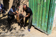 بازار گرم خرید قربانی در روز عید قربان