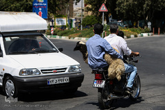 بازار گرم خرید قربانی در روز عید قربان