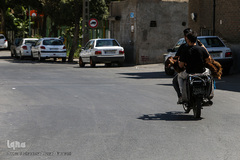 بازار گرم خرید قربانی در روز عید قربان