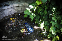 دفن فرهنگ زیر زباله های شهر