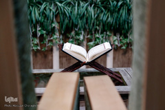 فینال رشته حفظ بیست جزء و کل قرآن کریم