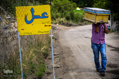 عسل حاصل تلاش برای انسان